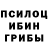 Псилоцибиновые грибы Psilocybe Bruce Parr