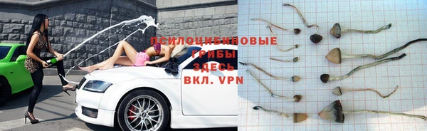 амф Баксан