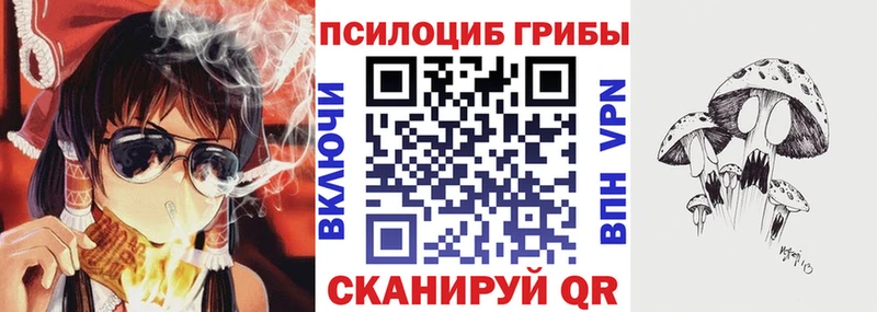 что такое   ссылка на мегу ССЫЛКА  Псилоцибиновые грибы GOLDEN TEACHER  Сенгилей 